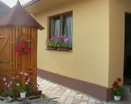 Pensiunea Georgiana Maison d'hôtes Şieu