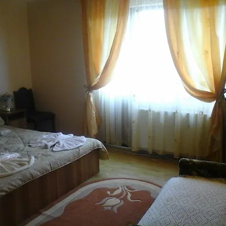 Pensiunea Georgiana Maison d'hôtes