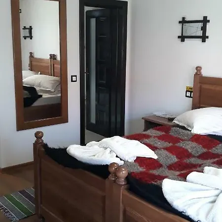 Pensiunea Georgiana Maison d'hôtes 2*