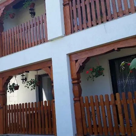 Pensiunea Georgiana Maison d'hôtes 2*
