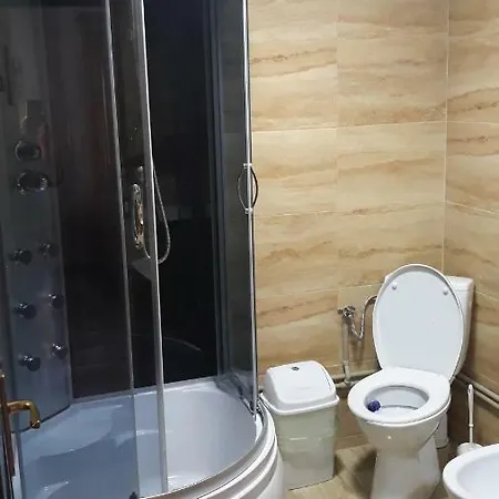 Maison d'hôtes Pensiunea Georgiana
