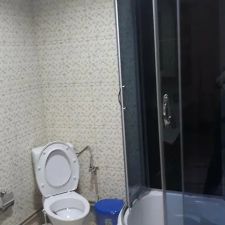 Pensiunea Georgiana 2* Şieu