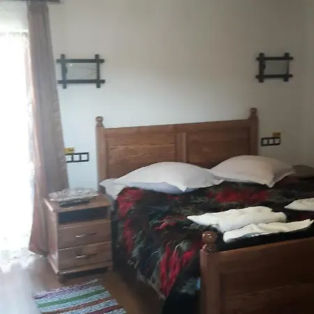Pensiunea Georgiana Maison d'hôtes 2*